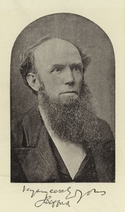 The Rev J Clifford، DD بواسطة مصور انجليزى