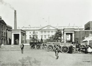 النعناع الملكي ، لندن ، 1895 بواسطة مصور انجليزى