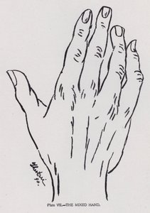  بواسطة مصور انجليزى