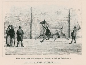 A High Stepper - لم يتم شراء هذا الحصان في Hamleys ولكن في Tattersalls بواسطة مدرسة اللغة الإنجليزية