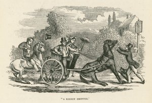 "قطارة الكلى" (نقش) بواسطة مدرسة اللغة الإنجليزية