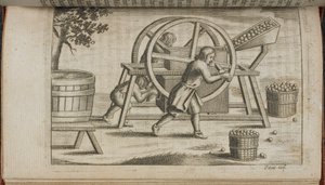 آلة لضغط الفاكهة ، رسم توضيحي من "Vinetum Britannicum" أو "A Treatise of Cyder" بواسطة مدرسة اللغة الإنجليزية