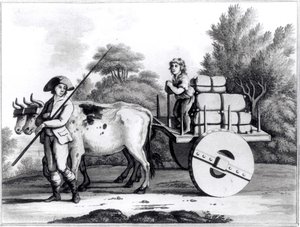 مزرعة برتغالية ، من منظر عام لدولة البرتغال بقلم جيمس مورفي ، نشرت عام 1797 بواسطة مدرسة اللغة الإنجليزية