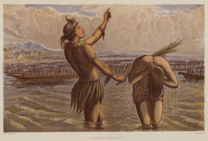 تتويج وحشي (حجر ملون) بواسطة مدرسة اللغة الإنجليزية