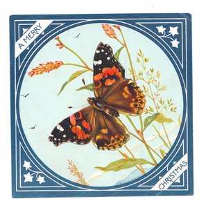 بطاقة عيد الميلاد الفيكتوري لفراشة مرسومة على شكل سيدة فراشة مرسومة، حوالي عام 1880 (طباعة حجرية ملونة) بواسطة مدرسة اللغة الإنجليزية