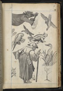 إضافة MS 32496 f.49r رسم توضيحي من "خطاب السحر كما تم تمثيله في عائلة السيد إدوارد فيرفاكس من فويستون" (نقش) بواسطة مدرسة اللغة الإنجليزية