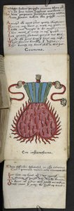 أضف كتاب اللعبة MS 57312 f.10 (حبر وألوان على ورق) بواسطة مدرسة اللغة الإنجليزية