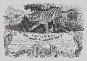 Advertisement for J Martin & Co, wholesale and retail furriers, Southampton, Hampshire (litho) بواسطة مدرسة اللغة الإنجليزية