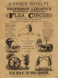 إعلان للبروفيسور Likontis Wonderful Roumanian Flea Circus بواسطة مدرسة اللغة الإنجليزية