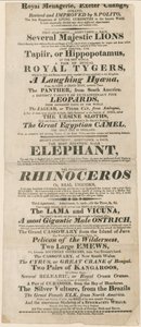 إعلان عن Royal Menagerie، Exeter Change بواسطة مدرسة اللغة الإنجليزية