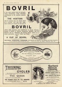 انتشر الإعلان من The Graphic Christmas Number 1897 بواسطة English School
