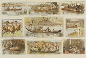 Amateur Photography on the Thames (colour litho) بواسطة مدرسة اللغة الإنجليزية