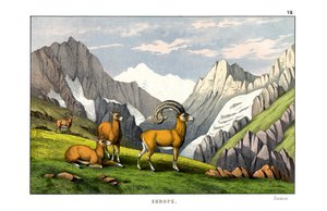  بواسطة مدرسة اللغة الإنجليزية
