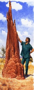 النمل هيل بواسطة مدرسة اللغة الإنجليزية
