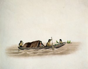 Arawaka Indian-Demerara (مرحاض على ورق) بواسطة مدرسة اللغة الإنجليزية