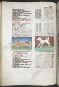 Arundel MS 66 f.44v تم تصوير Canis maior و Canis الثانوي على أنهما كتالوج النجوم للكلاب المستخرجة من بطليموس ، المجسطي ... "التجميع الفلكي والنبوءات السياسية بواسطة مدرسة اللغة الإنجليزية