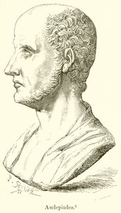 Asclepiades بواسطة مدرسة اللغة الإنجليزية