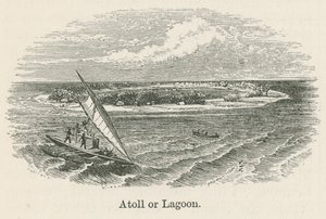 Atoll or lagoon (engraving) بواسطة مدرسة اللغة الإنجليزية
