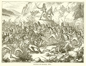 معركة بوساكو ، 1810