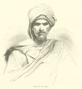 بدو سيناء بواسطة مدرسة اللغة الإنجليزية