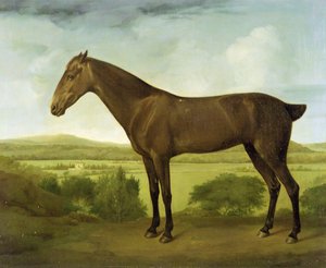الحصان البني في المناظر الطبيعية الجبلية ، 1780-1800