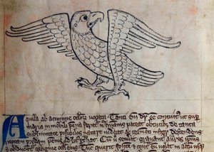 CCA-LitMs - D - 10 fol. 13 إيجل إيجل ، من Bestiary بواسطة مدرسة اللغة الإنجليزية