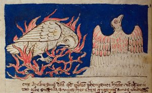 CCA-LitMs - D - 10 fol. 17 ظ فيونيكس ، من Bestiary بواسطة مدرسة اللغة الإنجليزية