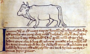 CCA-LitMs - D - 10 fol. 9r بولوك ، من Bestiary بواسطة مدرسة اللغة الإنجليزية