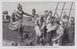 Captain Cook Presenting Pigs and Fowls to the Maoris (litho) بواسطة مدرسة اللغة الإنجليزية