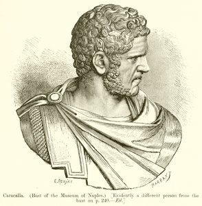 كركلا. (تمثال نصفي لمتحف نابولي.) [من الواضح أن شخصًا مختلفًا عن التمثال في ص. 240. إد]