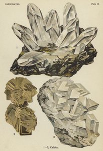 Carbonates, calcite (colour litho) بواسطة مدرسة اللغة الإنجليزية