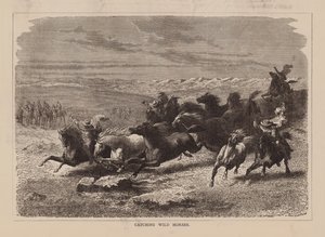 اصطياد الخيول البرية (نقش) بواسطة مدرسة اللغة الإنجليزية