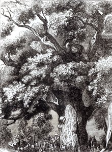 تشارلز الثاني (1630-1685) مخفي في شجرة البلوط ، 14 أكتوبر 1651 بواسطة مدرسة اللغة الإنجليزية