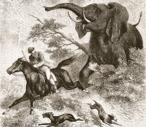 مطاردة بفيل ، صورة توضيحية من الطبعة التصويرية للحياة واكتشافات ديفيد ليفينغستون من قبل J. Ewing Richie ، الحانة. بقلم أ. فولارتون وشركاه ، 1876 بواسطة مدرسة اللغة الإنجليزية