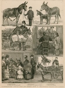 كوسترمونغونز اليوبيل المهر وعرض الحمار في قصر الشعوب ، شرق لندن بواسطة مدرسة اللغة الإنجليزية