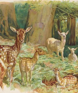 غزال (طباعة حجرية ملونة) بواسطة مدرسة اللغة الإنجليزية