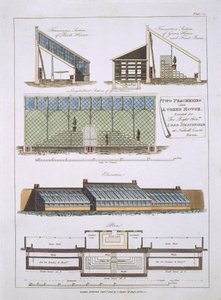تصميم لاثنين من الخوخ ودفيئة ، 1806 بواسطة مدرسة اللغة الإنجليزية