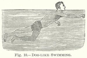 السباحة مثل الكلب (النقش) بواسطة مدرسة اللغة الإنجليزية