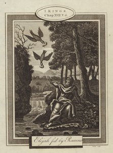 أطعم إيليا الغربان ، الملوك الأول ، الفصل السابع عشر ، الآية 6 (نقش) بواسطة مدرسة اللغة الإنجليزية