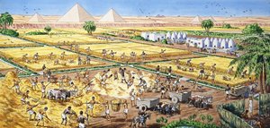 الزراعة في مصر بواسطة مدرسة اللغة الإنجليزية