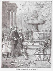 إطعام الحمام في كنيسة القديس بولس (نقش) بواسطة مدرسة اللغة الإنجليزية