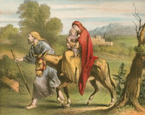 قتال في مصر بواسطة مدرسة اللغة الإنجليزية