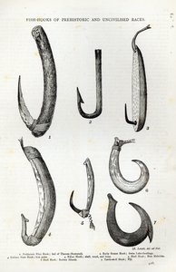 خطاطيف أسماك من أعراق ما قبل التاريخ وغير حضارية ، من "ساعة الترفيه" ، 1888 (النقش)