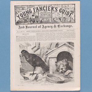 صورة من دليل The Fanciers Guide ، 1874 (انظر أيضًا 315145) بواسطة مدرسة اللغة الإنجليزية