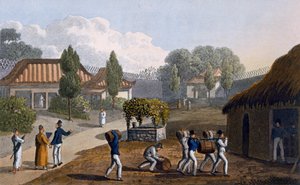 حديقة معبد Lewchew ، 1820 (ألوان مائية) بواسطة مدرسة اللغة الإنجليزية