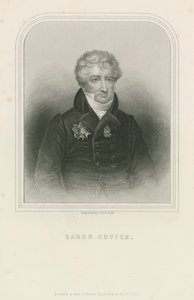 Georges Cuvier, French naturalist and zoologist (engraving) بواسطة مدرسة اللغة الإنجليزية