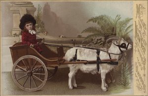 Girl in a goat cart, New Years greetings card (chromolitho) بواسطة مدرسة اللغة الإنجليزية