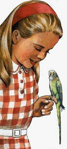 الفتاة ذات الببغاء بواسطة مدرسة اللغة الإنجليزية