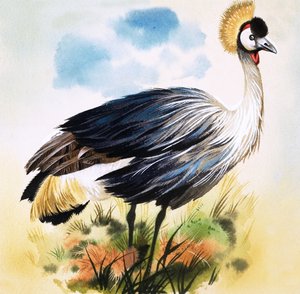طائر الكركي الرمادي المتوج بواسطة مدرسة اللغة الإنجليزية