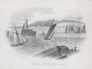 Harbour and town, Swansea, Wales (engraving) بواسطة مدرسة اللغة الإنجليزية